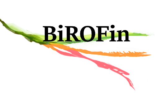 BiroFin logo